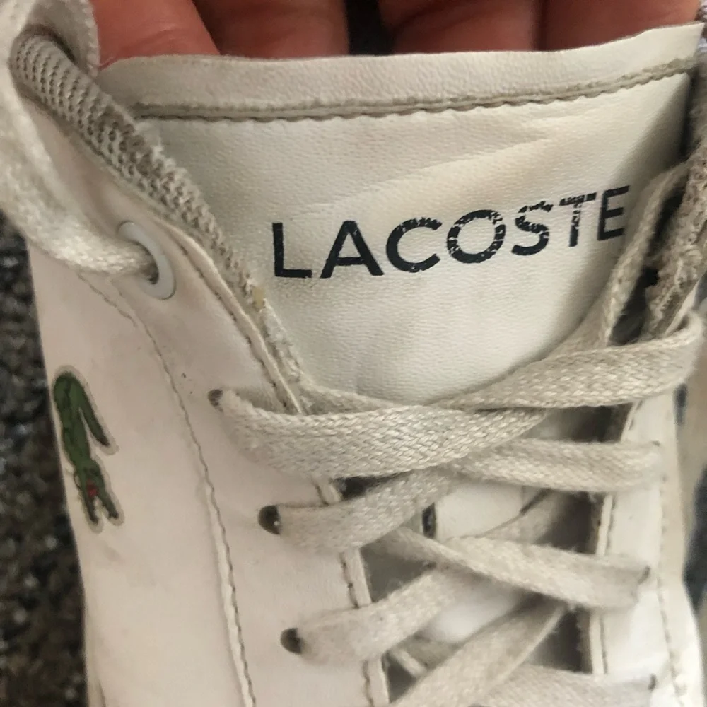 Lacoste Kids' White Sneakers Size 4 Euro 35.5 - Picture 9 of 12
